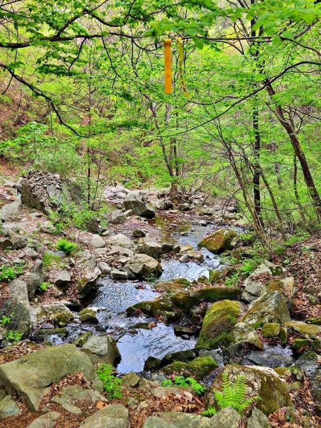 A Hidden Gem in Hongcheon