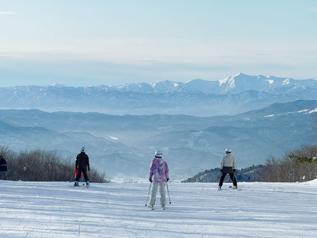 樹冰高原中的滑雪天堂❄️