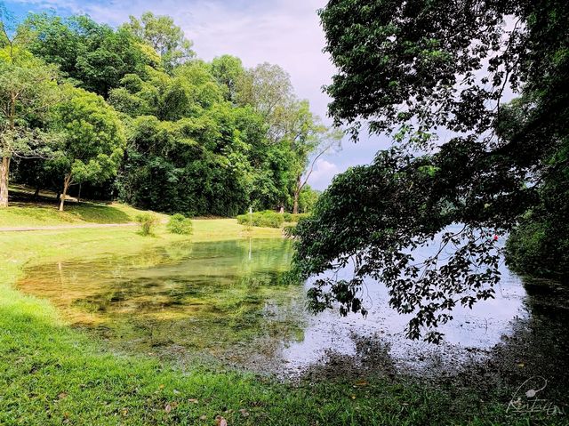 Reservoir Park