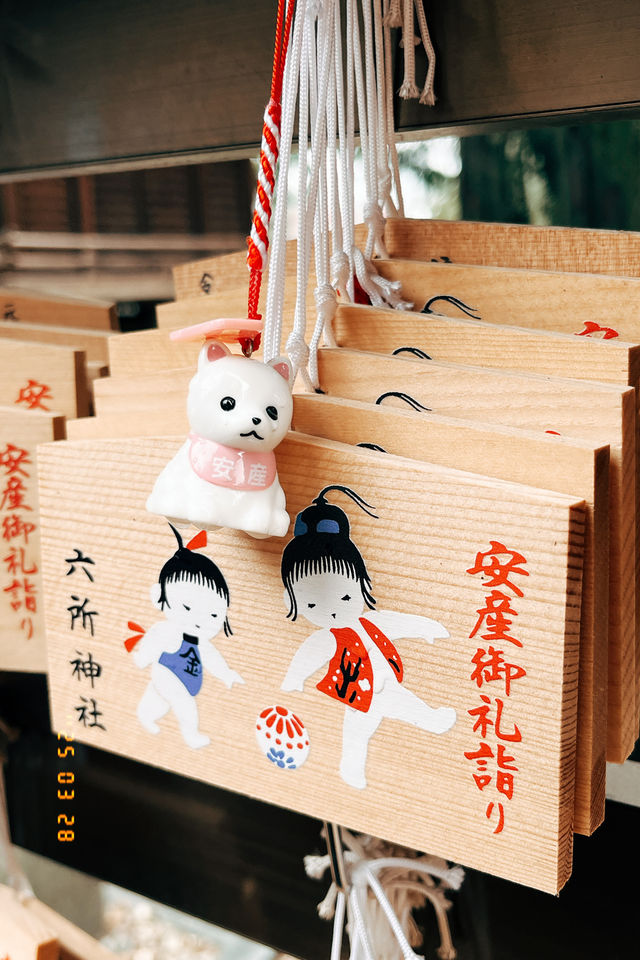 🚼松林中的祈願聖地：德川家康也來參拜的六所神社⛩️