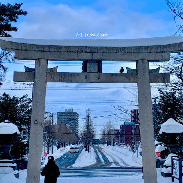 눈꽃 낭만 가득! 오타루 겨울여행 계획❄️☃️