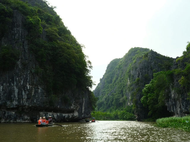 Tam Coc - Golden fields and timeless beauty 🌾