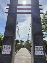 🌿 제주 공항 근처 이런 계곡 보셨나요