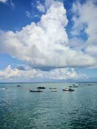 Guardians of Paradise: Diving with Turtles and a Post Office