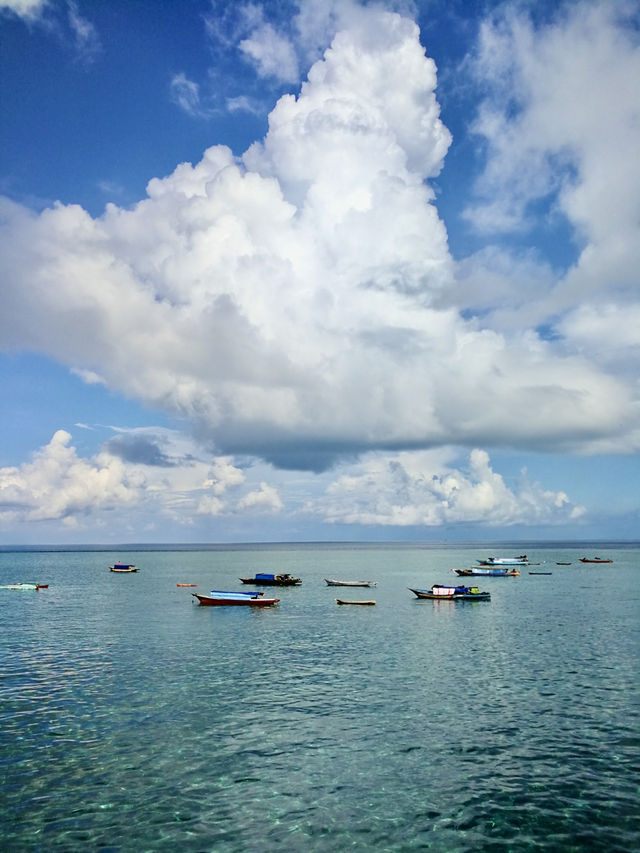 Guardians of Paradise: Diving with Turtles and a Post Office
