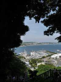 🌊海・神社・絶景がそろう「江の島」で、五感が満たされる旅を 