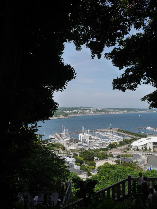🌊海・神社・絶景がそろう「江の島」で、五感が満たされる旅を 