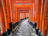 Path of a Thousand Gates: Journey Through Fushimi Inari