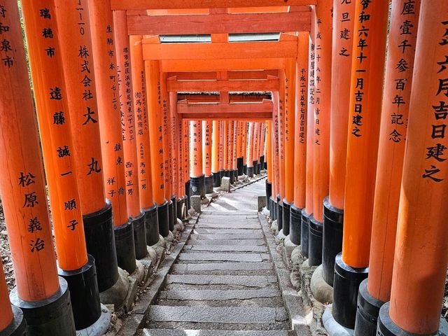 Path of a Thousand Gates: Journey Through Fushimi Inari