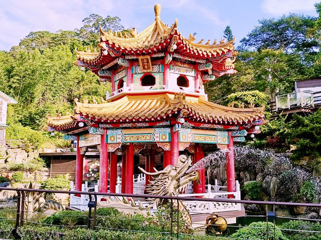 🚡 Maokong Gondola Summer Day Trip Guide