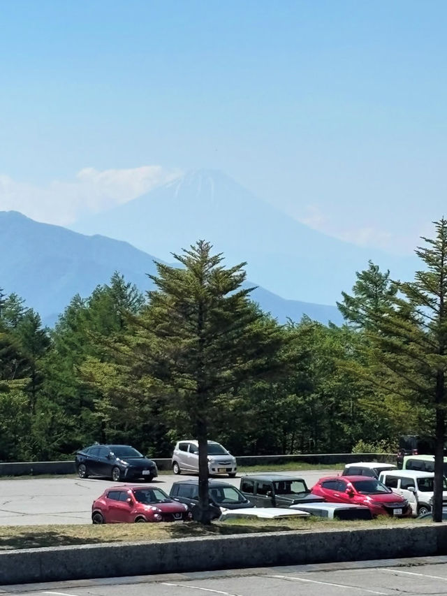 🌲高原の風に癒される！清里高原で心と体をリセットする旅🚞