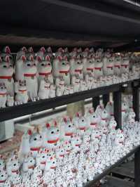 Gotokuji Temple วัดแมวกวัก