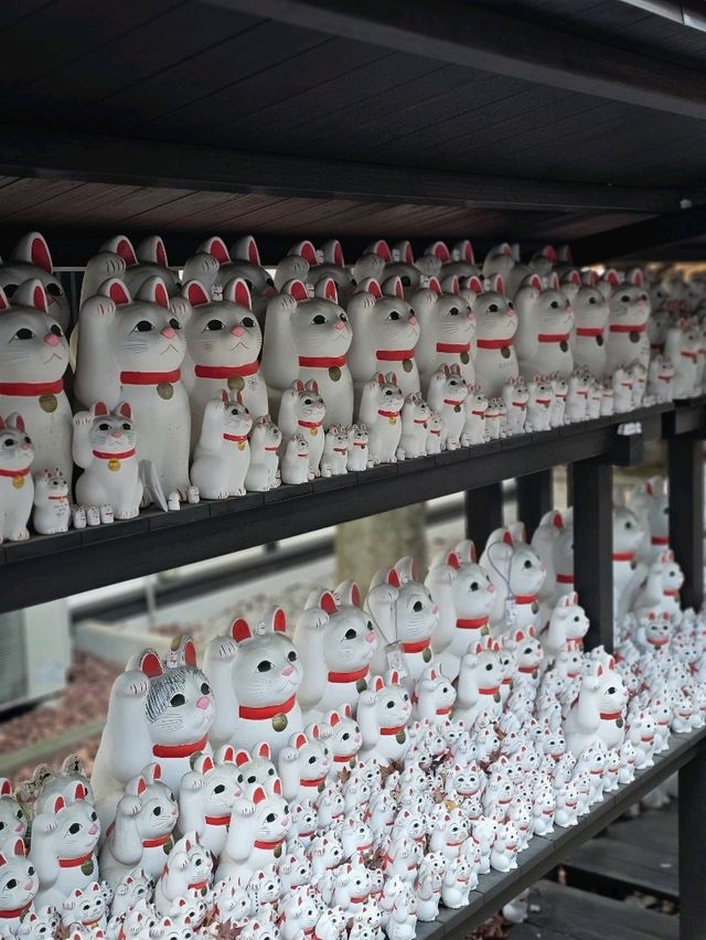 Gotokuji Temple วัดแมวกวัก
