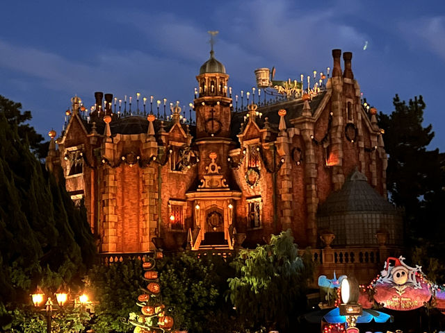 🏰 Disneyland Tokyo – A Magical Day for the Whole Family