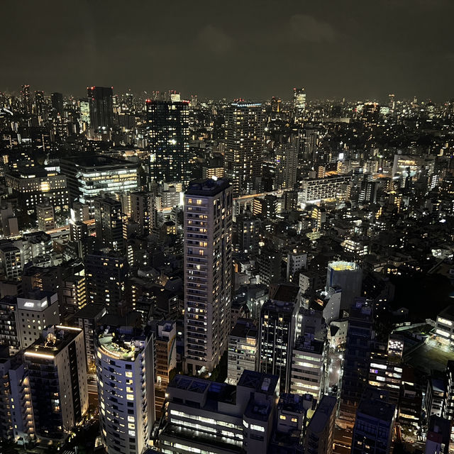 🗼 Tokyo Tower – Classic Icon with Timeless Views
