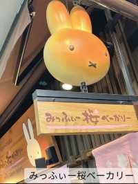 [京都]嵐山おすすめ7選✨コスパタイパ最強