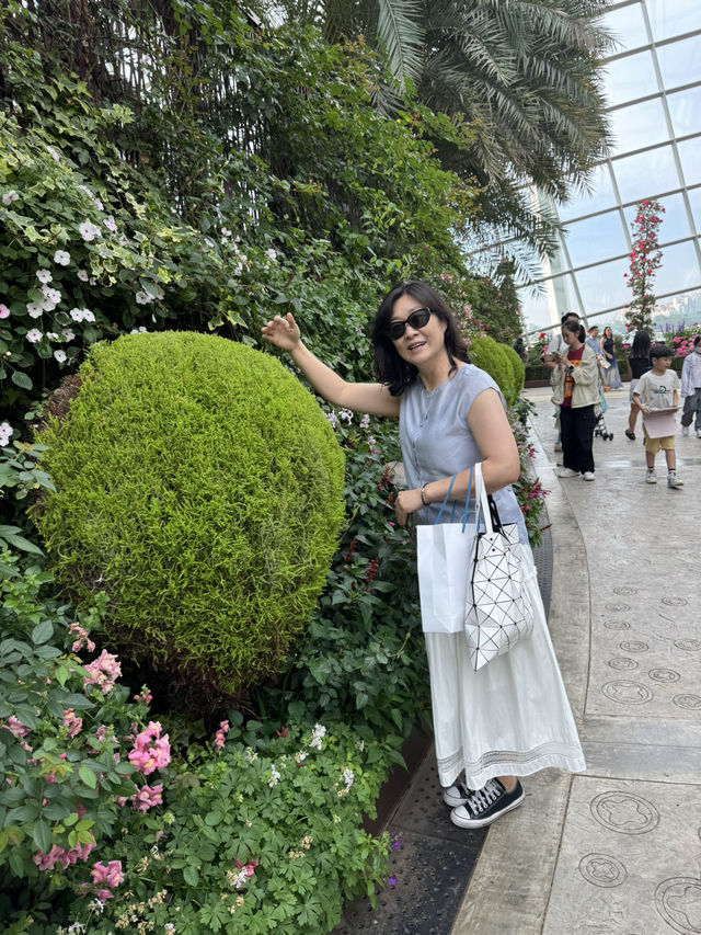 여유로운 도시 싱가포르 ❤️🇸🇬