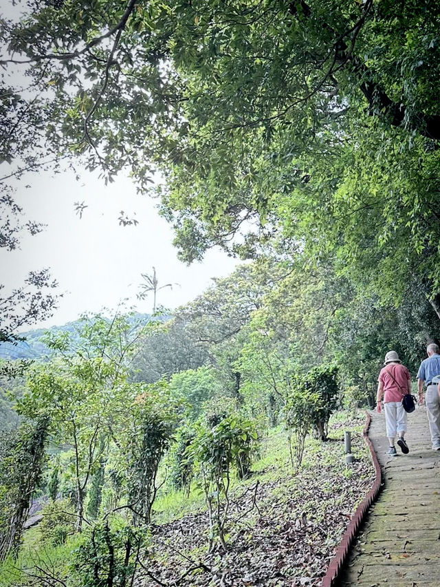北投行義宮：都市山林中的靜謐祈福之地