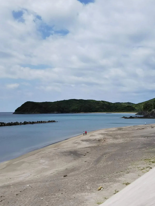 【波音とヤシの木に癒される🌺南張海浜公園で南国気分の休日】
