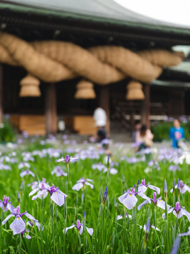 【光の道に導かれて✨】宮地嶽神社で神秘と絶景の旅