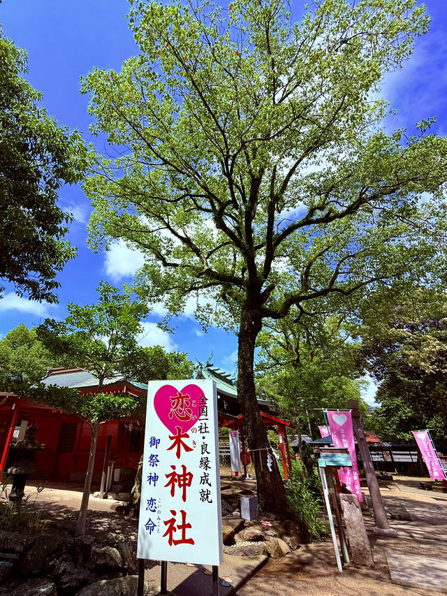 滿滿的心形主題！戀愛成就的動力點！