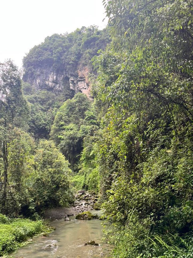 ✨4D3N Chongqing Itinerary: Pandas, Spicy Eats & Karst Adventures