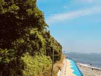 Yeongdo Haneul (Sky) Observation Deck, Busan: Elevated Views and Coastal Serenity