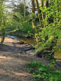 Humberstone Park