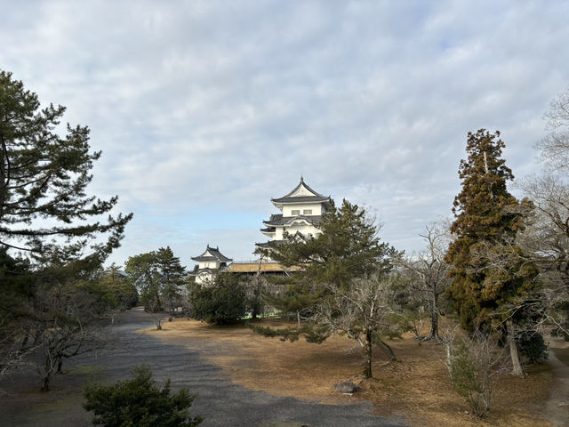 伊賀上野城（石垣非常壯觀）