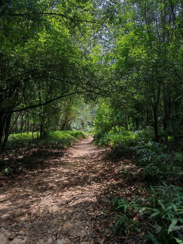 ⛰️ Conquer Nature at Kledang Hill Trail Head, Ipoh! 🌿