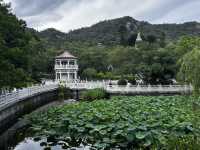 Nanputuo Temple’s Water Lily Garden: Where Buddha Meets Blooms (And Your Soul Finds Zen)"** 🌸🏯  