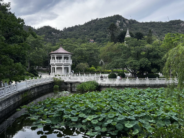 Nanputuo Temple’s Water Lily Garden: Where Buddha Meets Blooms (And Your Soul Finds Zen)"** 🌸🏯  