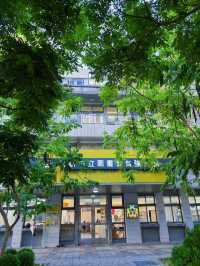 🌳桃園內壢人的秘密綠洲！自強公園散步放空好去處，綠意包圍的城市小森林