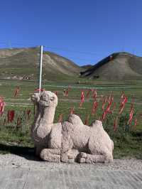 Qinghai trip