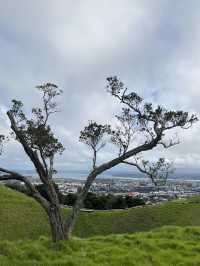 🏞️奧克蘭最高城市視角｜伊甸山 Mt Eden 🌋城市與火山的靜默對話