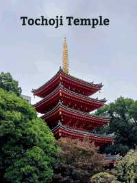 Kushida Shrine&Tochoji Temple