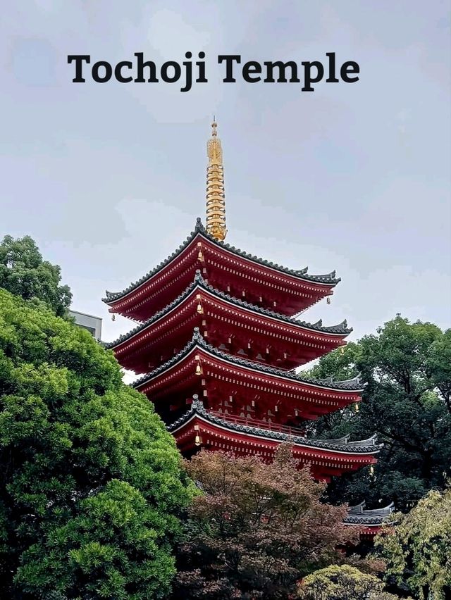 Kushida Shrine&Tochoji Temple