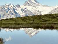 Oeschinensee Escape: A Solo Summer Paradise in the Bernese Alps