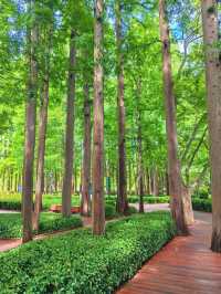 ～西埔公園～繁花織就～