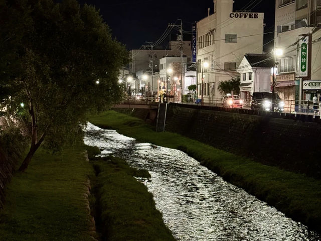 From Nagoya to Matsumoto — A Night of Cityscapes, Castles, and a "Challenge" Dish! 🇯🇵🌃