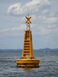 Pattaya To Koh Larn Ferry Cost: Only 30 Baht!