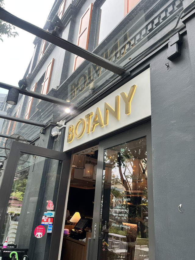 🌿 싱가포르 로버트슨 키의 힐링 브런치 카페, Botany