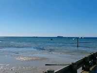 Cameron's Bight Boat Club：彩虹船与航海传奇