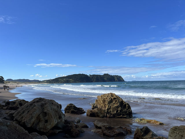 紐西蘭旅遊景點—♨️ Hot Water Beach｜在海邊挖個天然溫泉 Spa