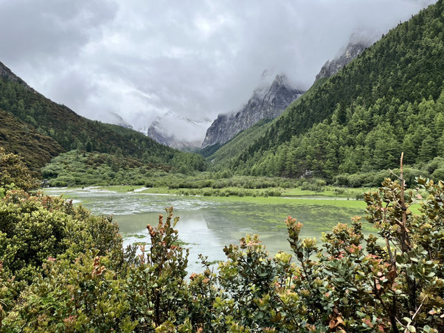 🏔️ Trekking the Last Shangri-La — 📍Luorong Pasture → Milk Lake → Five-Colour Lake 