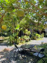 คาเฟ่ในสวน “พบเจอ cafe & homecooked”