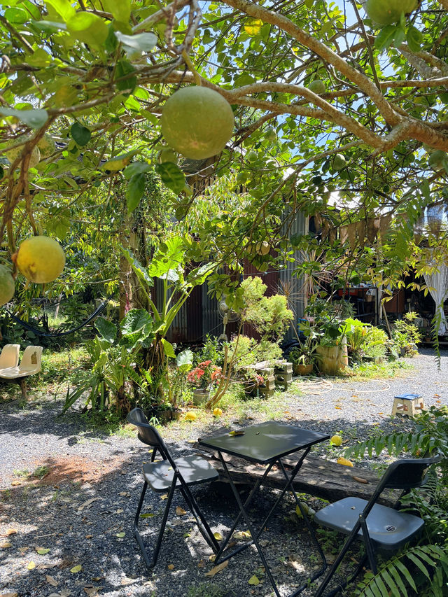 คาเฟ่ในสวน “พบเจอ cafe & homecooked”