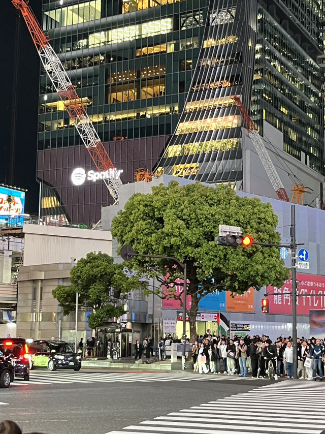 🌆 Tokyo in 3 Iconic Stops: Skyline, Loyalty & Organized Chaos 🐶✨