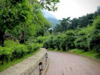 เดินชมสวนหนานเหลียนฮ่องกง 