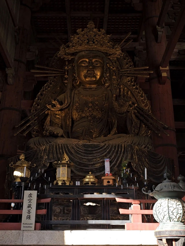 Nara Day trip ✨ Big buddha & bowing deer 🦌🫶🏻